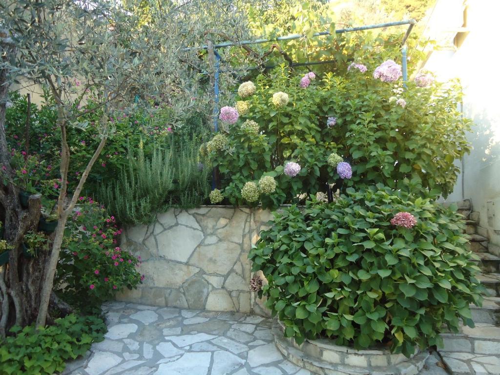 בודווה Apartments Villa Petranovic חדר תמונה