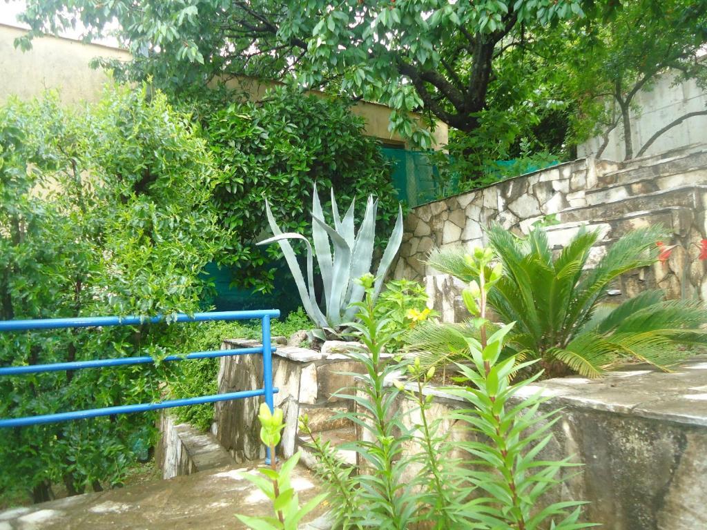 בודווה Apartments Villa Petranovic חדר תמונה