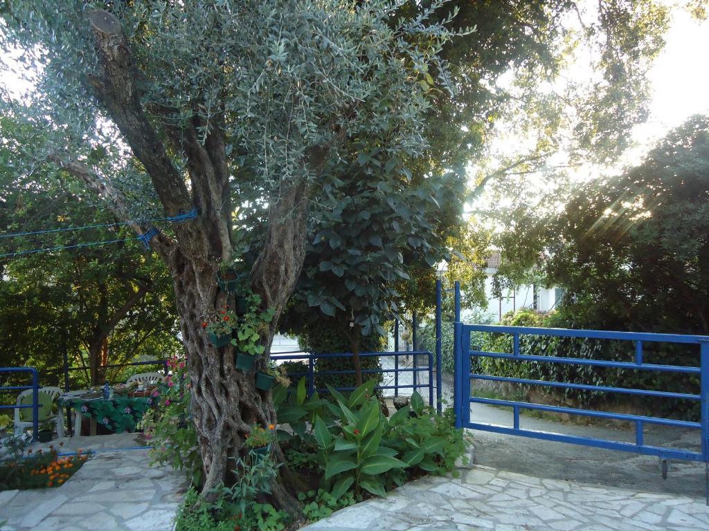 בודווה Apartments Villa Petranovic מראה חיצוני תמונה